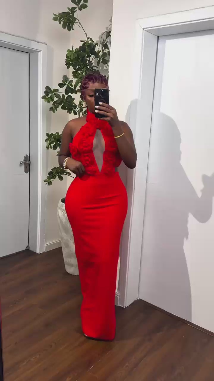 Halter Floral Appliques Backless Party Bandage Dress