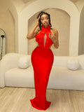 Halter Floral Appliques Backless Party Bandage Dress