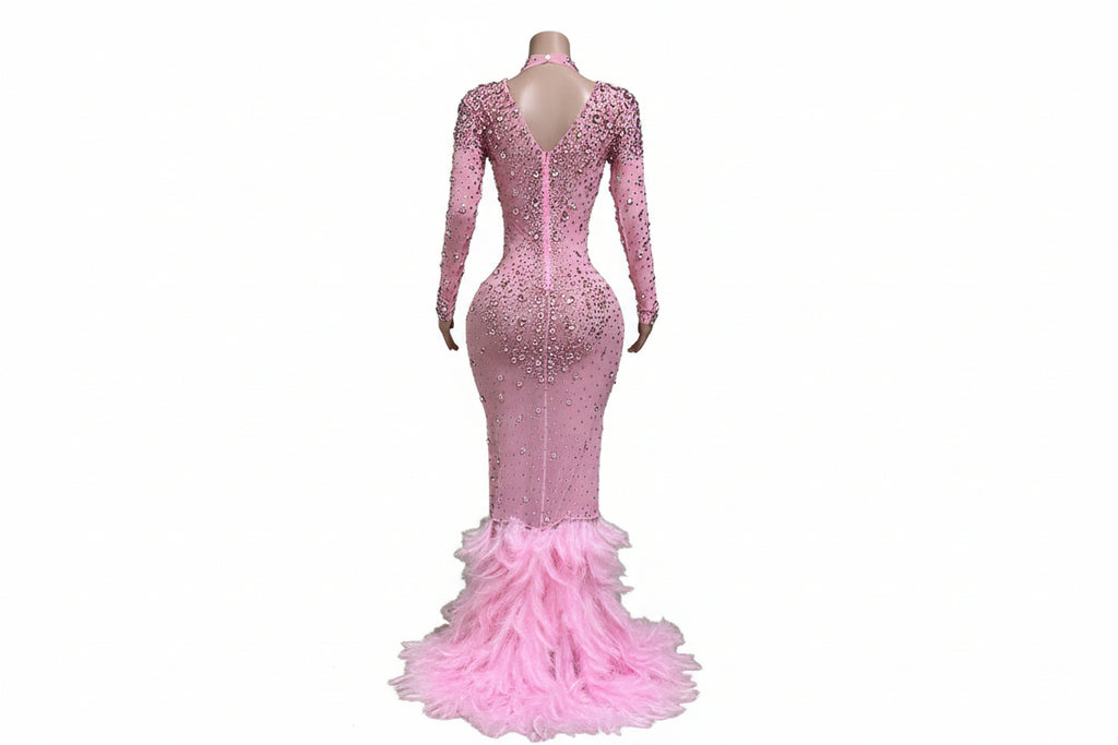 Amethyst Dream Long sleeve Beaded  Maxi